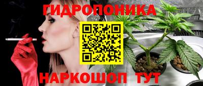 амф Мариинск